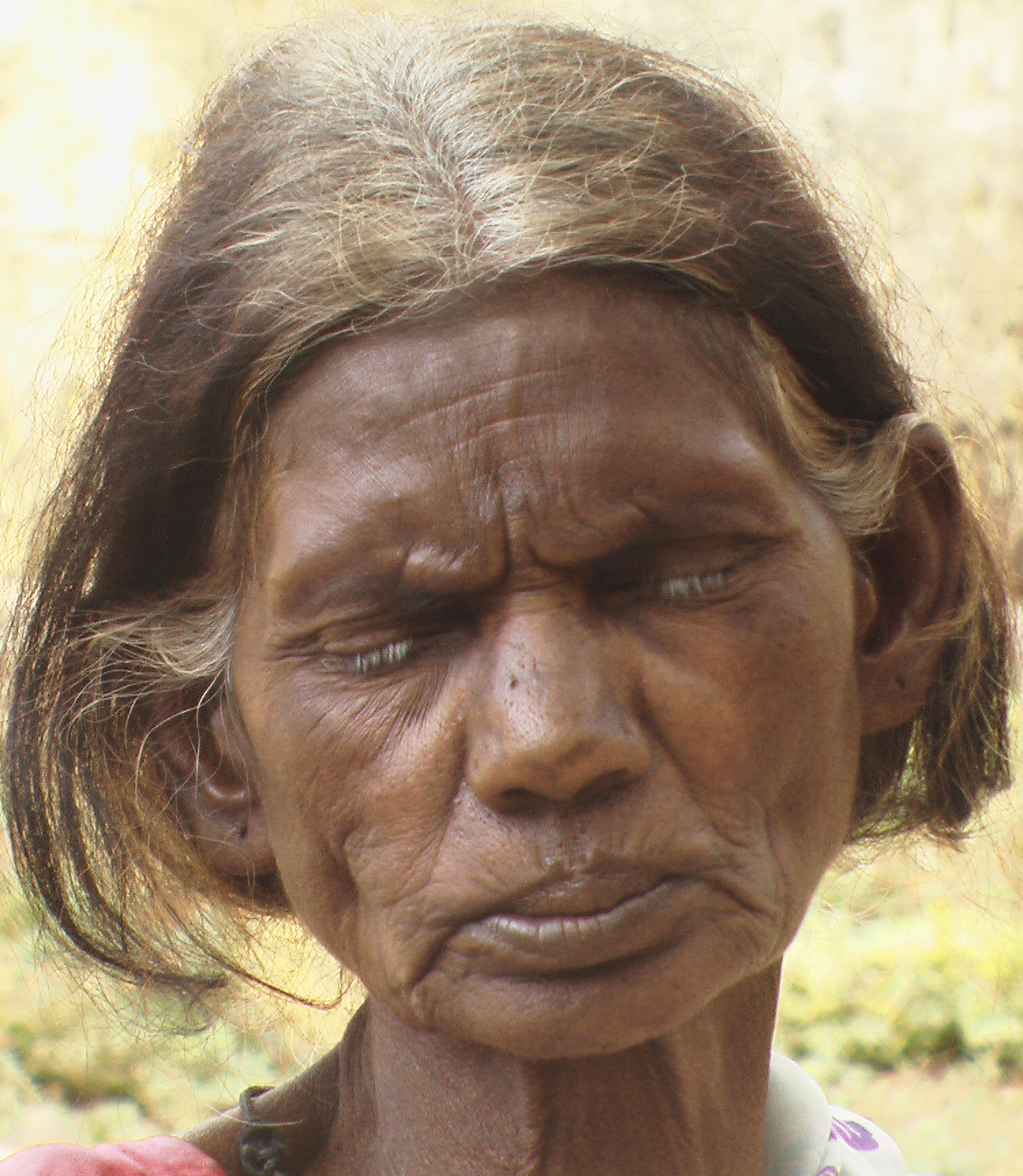 Untitled Document [adivasi-info.net]